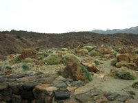 Tenerife 2005 1 60